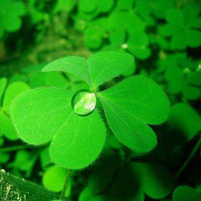 灵魂摆渡人-Spiritfarer